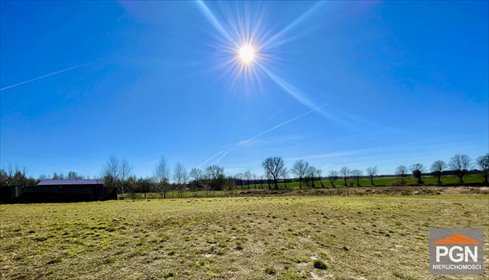 Działka rolna 23 226 m² w Wołowcu - polecam działka GOLCZEWO OKOLICA