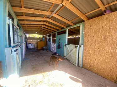 działka na sprzedaż 30000m2 działka Marianów, Marianów