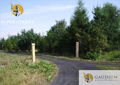 Działka budowlana na sprzedaż Wola Miedniewska 12 200m2 Foto 5
