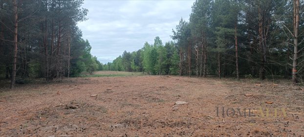 działka na sprzedaż 11500m2 działka Leoncin