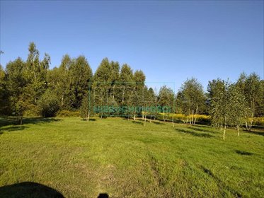 działka na sprzedaż 130000m2 działka Żółwin