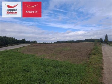 Zapraszam do obejrzenia działki 1000 m² w Staniszewie działka Staniszewo, Rajska