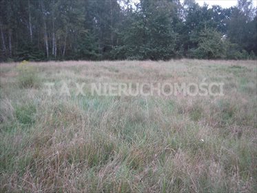 działka na sprzedaż 4906m2 działka Dąbrowa Górnicza, Łęknice