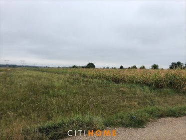 działka na sprzedaż 7000m2 działka Sobienie Biskupie