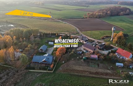 działka na sprzedaż 12800m2 działka Przęsocin