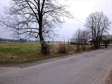 działka na sprzedaż 1922m2 działka Mikołów, Bujaków, Szkolna