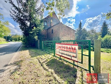 Przestronny dom z własnym stawem i dużym potencjałem dom Wojciechów