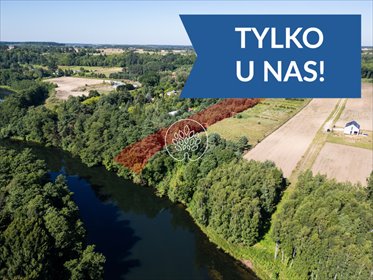 Działka 8 198 m² nad rzeką Brdą (potencjał inwestycyjny) działka Tryszczyn