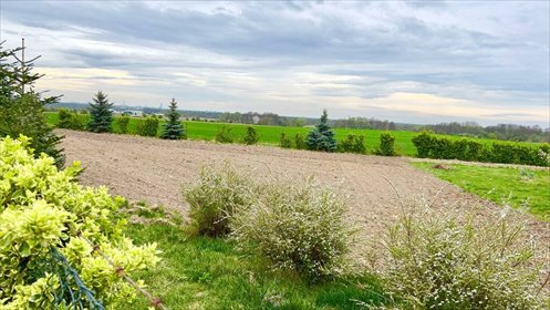 działka na sprzedaż 900m2 działka Szewce, Lotnicza