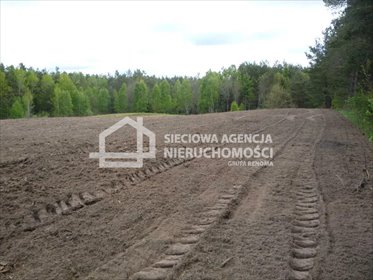 działka na sprzedaż 5601m2 działka Kobylasz