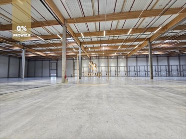 magazyn na wynajem 8800m2 magazyn Duchnów