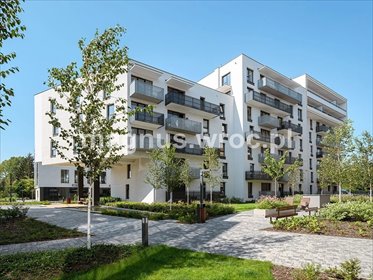mieszkanie na sprzedaż 37m2 mieszkanie Wrocław, Stare Miasto