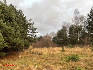 Szeroka działka budowlana 1204 m² w otoczeniu lasu działka Częstochowa