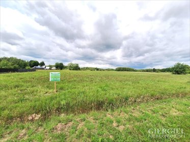 działka na sprzedaż 19900m2 działka Niwiska