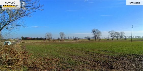 działka na sprzedaż 3000m2 działka Bielice