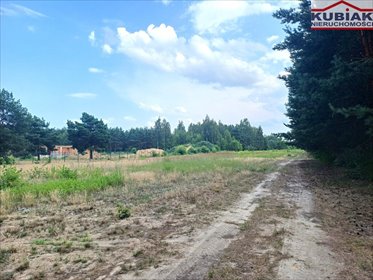 Zapraszam do zakupu działki 3000 m² w Szymanówku pod Warszawą działka Szymanówek
