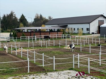 działka na sprzedaż 15815m2 działka Szamotuły