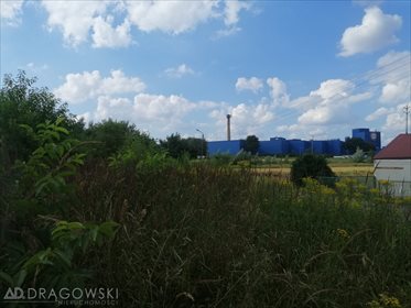 Działka budowlana na sprzedaż Ryki 8 707m2 Foto 5