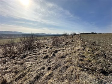 Działka rekreacyjna na sprzedaż Chrząstowice 930m2 Foto 2