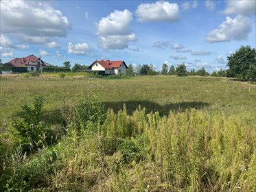 Działka 12,34 arów w Pysznicy, szybki dojazd - polecam! działka Pysznica, Podorendy