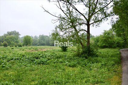 działka na sprzedaż 20000m2 działka Skierdy