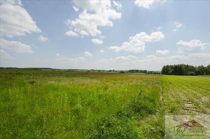 Działka przemysłowo-handlowa na sprzedaż Moszczanica 53 900m2 Foto 5