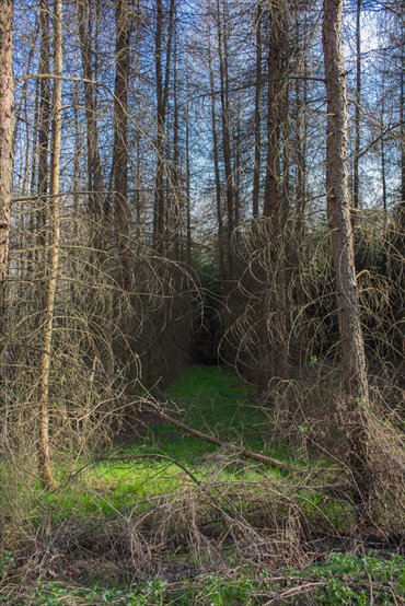działka na sprzedaż 15400m2 działka Łopuszka Wielka