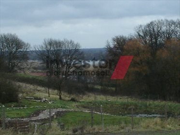 działka na sprzedaż 7999m2 działka Kurów