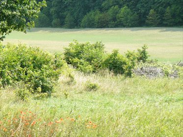 Działka budowlana na sprzedaż Borowo 2 049m2 Foto 2