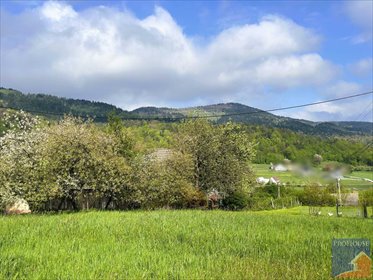 Działka 2822 m² z warunkami zabudowy i mediami - Limanowa działka Męcina