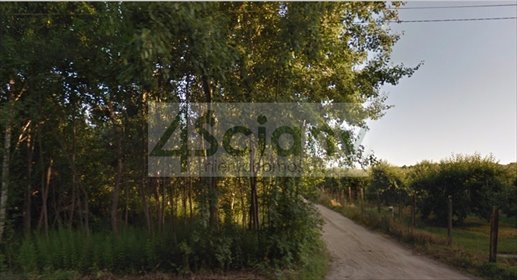 Polecam działkę budowlaną 6490 m² pod bliźniaki w Prace Duże działka Prace Duże