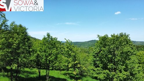 działka na sprzedaż 3022m2 działka Walim