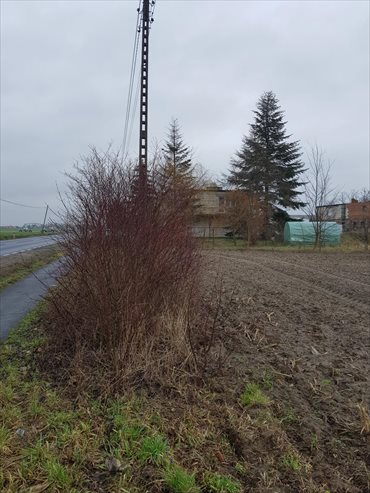 Działka siedliskowa na sprzedaż Uścikowo 22 428m2 Foto 5