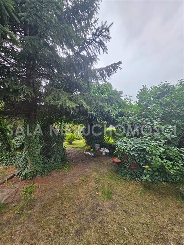 Polecam działkę 474 m² w Bydgoszczy z zielenią i domkiem działka Bydgoszcz, Kapuściska