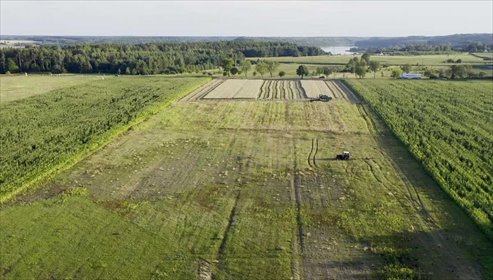 działka na sprzedaż 2000m2 działka Gwieździn