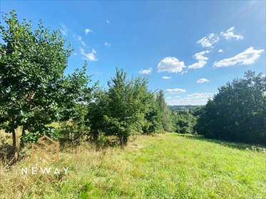 Działka 8040 m² z możliwością zabudowy i zalesienia działka Sieraków