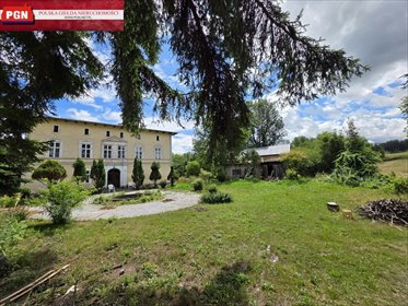 dom na sprzedaż 500m2 dom Międzylesie