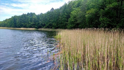 działka na sprzedaż 9879m2 działka Sejny (gw)