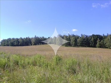 działka na sprzedaż 1819m2 działka Okmiany