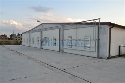 Magazyn na wynajem Gołańcz, Smolary 700m2 Foto 4
