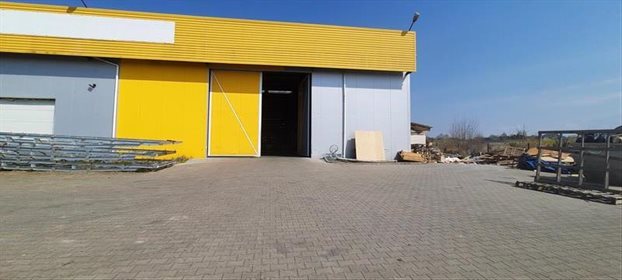 Lokal użytkowy na wynajem Nowe Bielice, Nowe Bielice, Nowe Bielice, Nowe Bielice 3 000m2 Foto 3