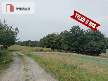 działka na sprzedaż 2996m2 działka Śliwiny