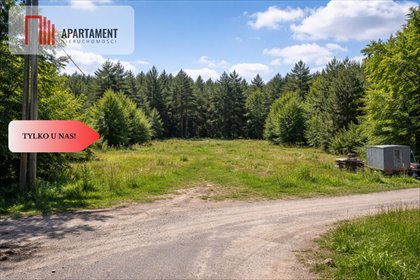 Do sprzedania działka usługowa 979 m² pod pensjonat i turystykę działka Rzeczenica