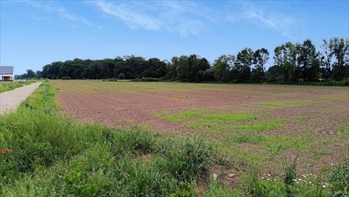 działka na sprzedaż 9000m2 działka Chrzanów