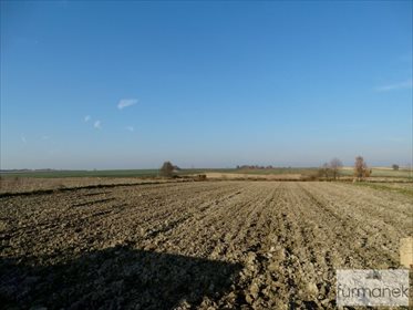 Działka rolna na sprzedaż Babice 7 838m2 Foto 3