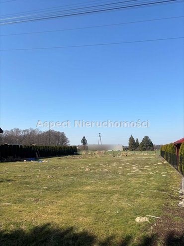 Działka budowlana na sprzedaż Pielgrzymowice 973m2 Foto 6