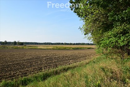 działka na sprzedaż 1700m2 działka Niemodlin