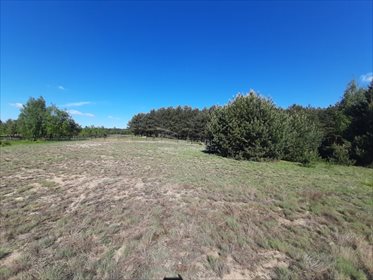 Działka inwestycyjna na sprzedaż Praga 14 000m2 Foto 7