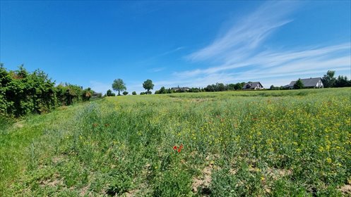 Polecam działkę 3250 m² pod zabudowę w Pszczółkach działka Pszczółki, Polna