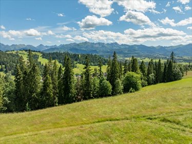 Sprzedam działkę 1467 m² z widokiem na Tatry w Gliczarowie działka Gliczarów Górny, Matygówka